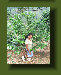 hordee-plantation004008.jpg