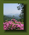 hordee-plantation004012.jpg