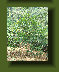 hordee-plantation004015.jpg