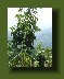 hordee-plantation004017.jpg