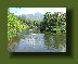 hordee-plantation004030.jpg