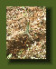 hordee-plantation005007.jpg
