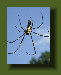 hordee-plantation005011.jpg