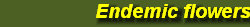 hordee-plantation033005.jpg