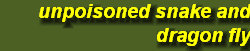 hordee-plantation048005.jpg