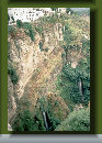 hordee-plantation063007.jpg
