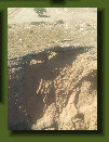 hordee-plantation063022.jpg